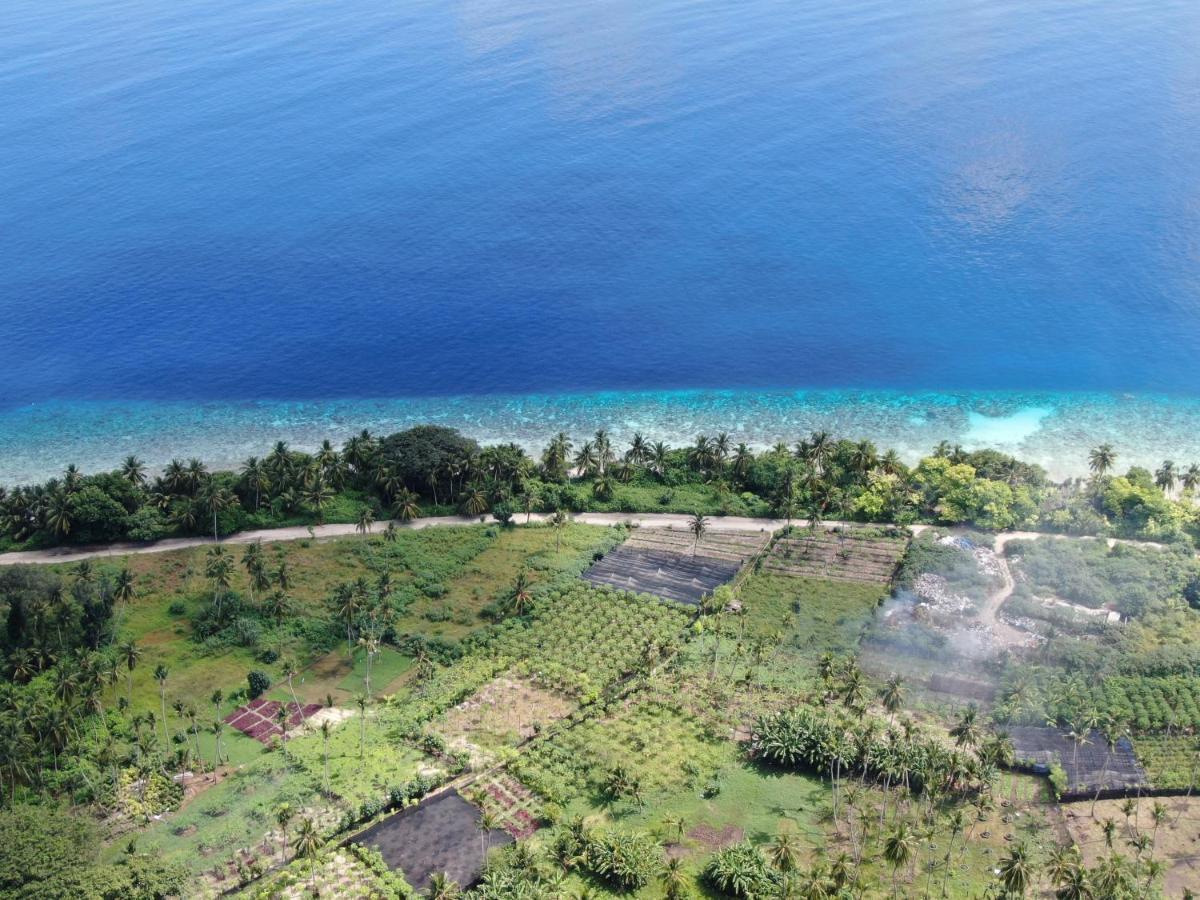 Shoreline Grand Thoddoo Exterior foto