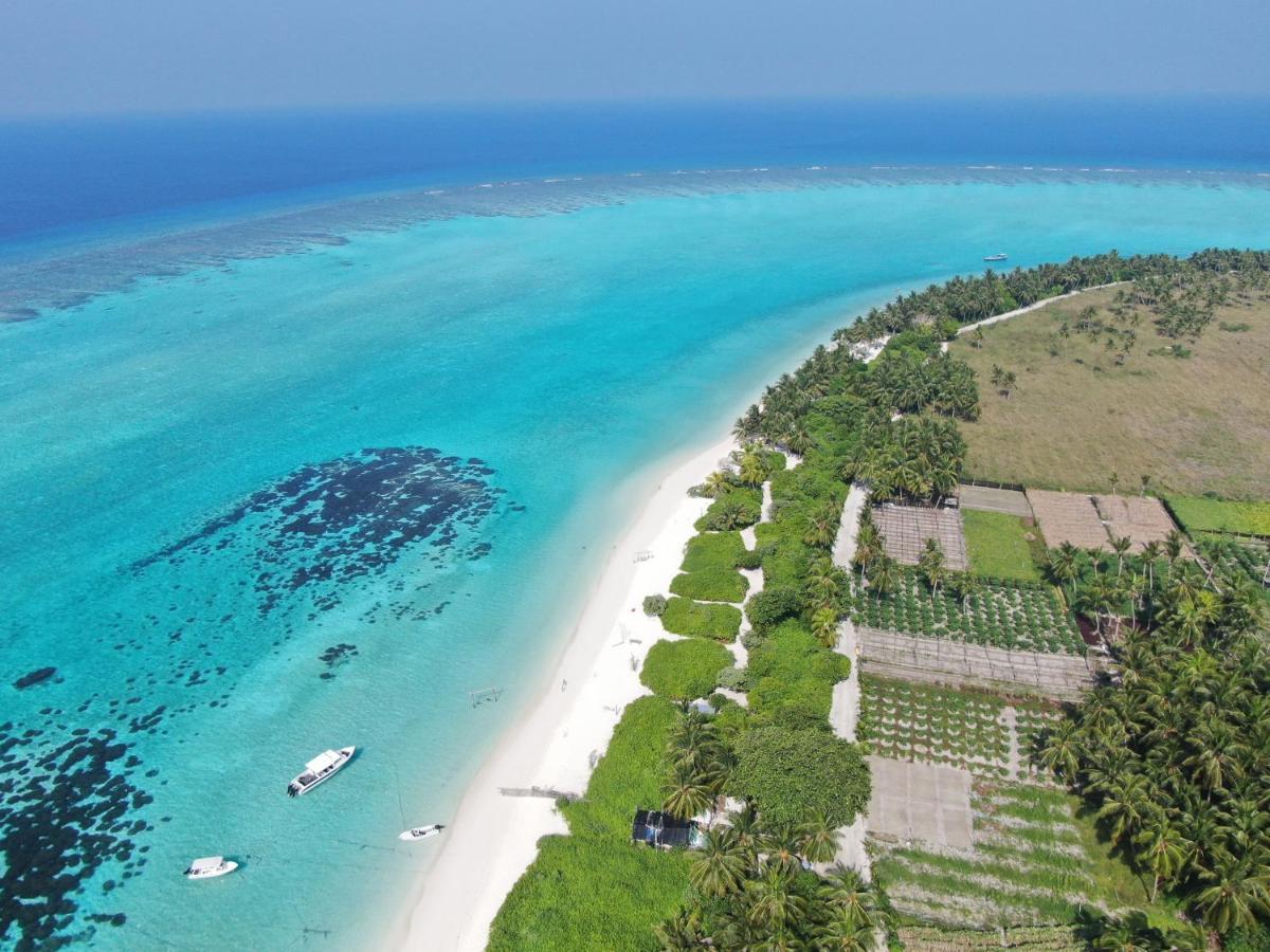 Shoreline Grand Thoddoo Exterior foto